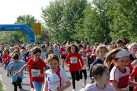 Im Startbereich war immer viel los. Foto: schullaufmeisterschaften.de